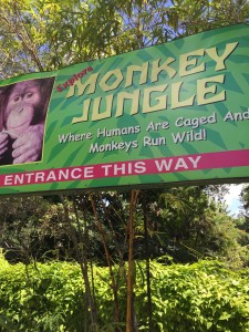 MonkeyJungleSign